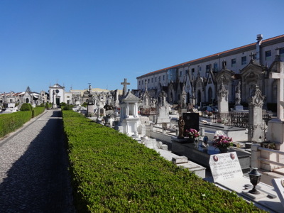 vista