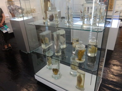 jars