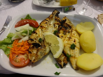 fish