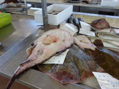monkfish