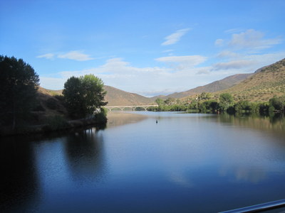 view