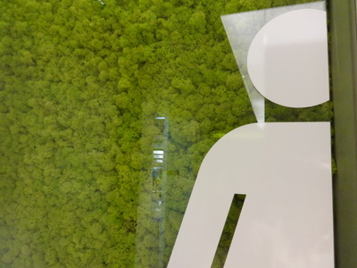 moss