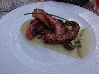 octopus