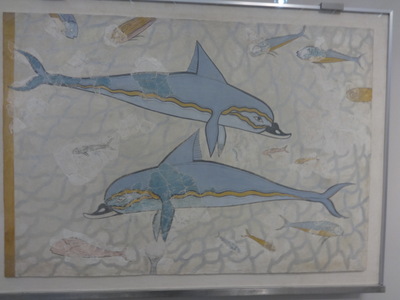 dolphins