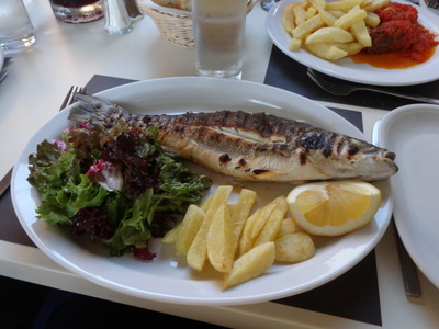 fish