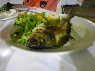 fish