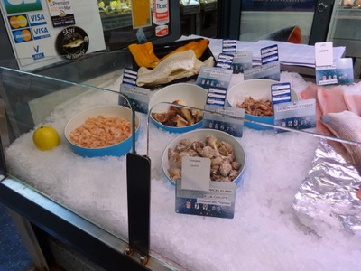 shellfish