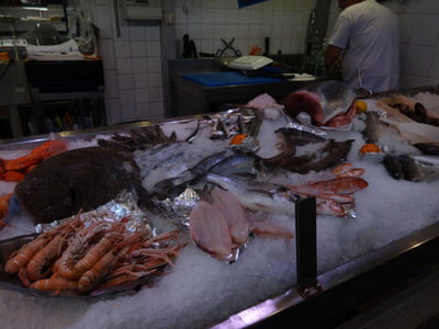 fish