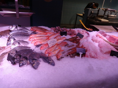 fish