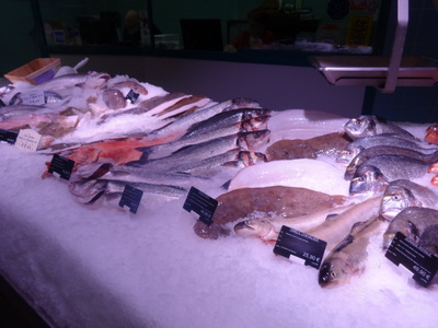 fish