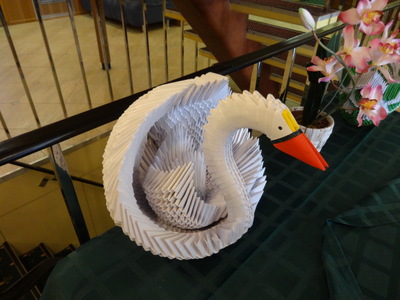 swan