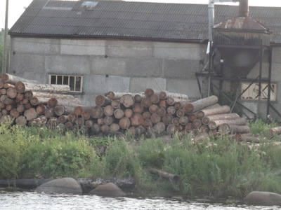 logs