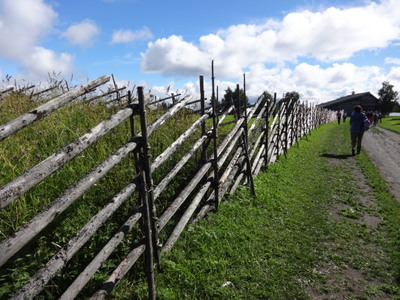 fence