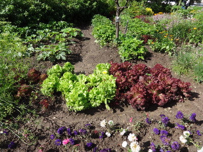 garden