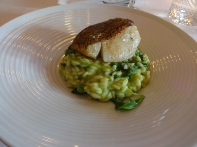 sea bass