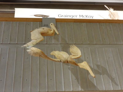 pelicans