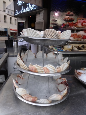 scallop shells