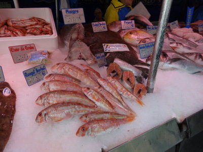 fish