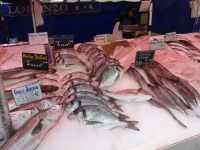 fish