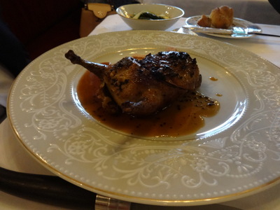 pigeon