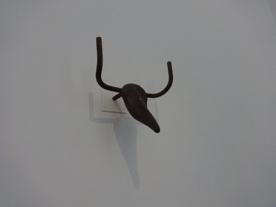 bull