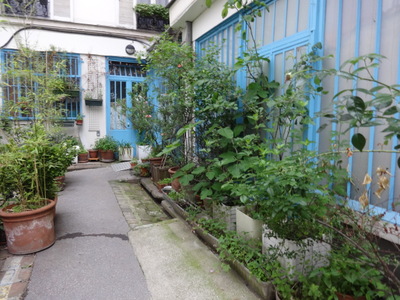 plants