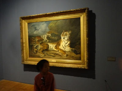 tigers