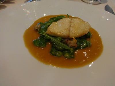 turbot