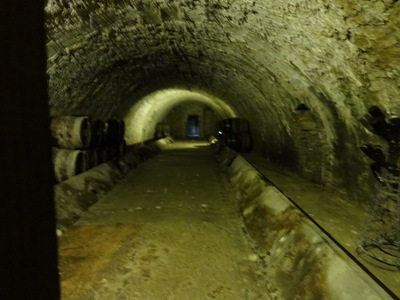 wine cellar