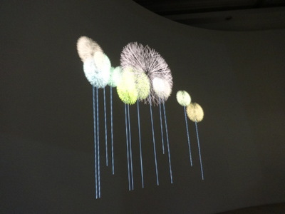 dandelions
