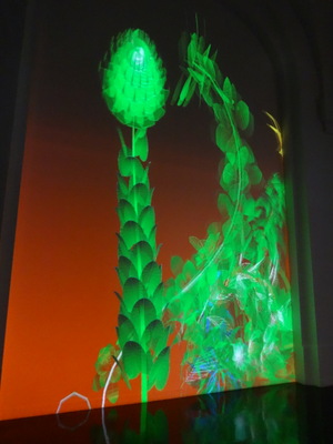 plants