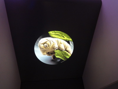 tardigrade