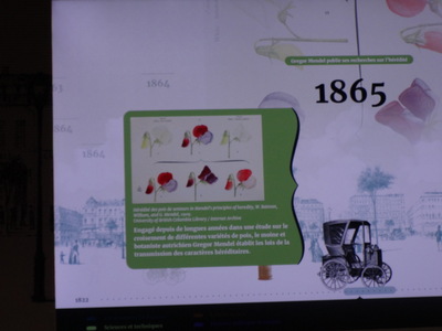 1864