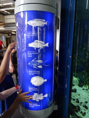 fish labels