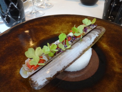 razor clam