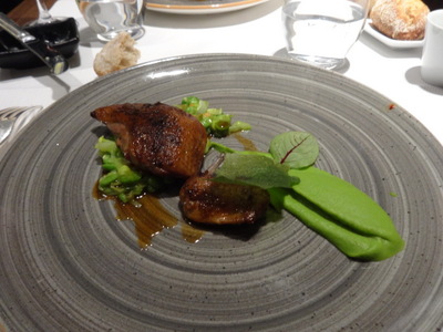 pigeon
