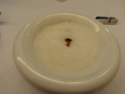 risotto