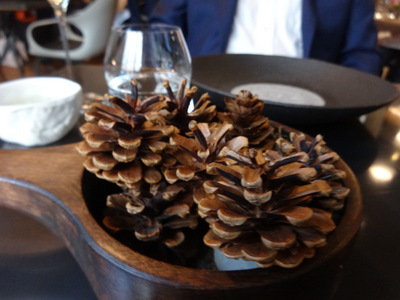 pine cones