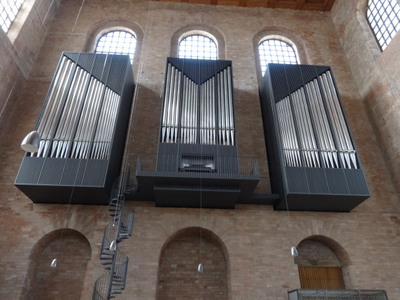 organ