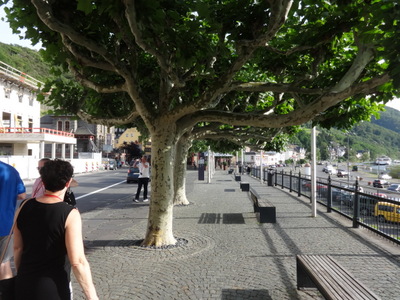 quay