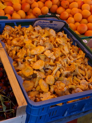 chanterelles