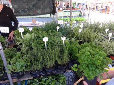 herbs