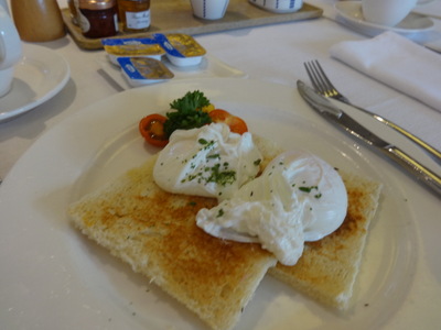 eggs