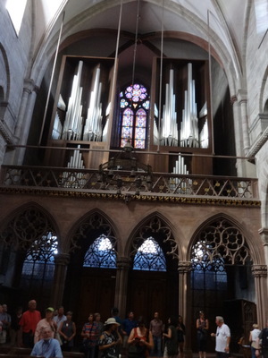 organ
