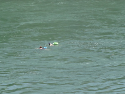 swimmers