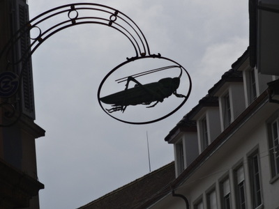 grasshopper