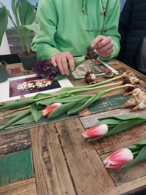 propagation