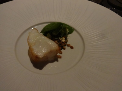 turbot