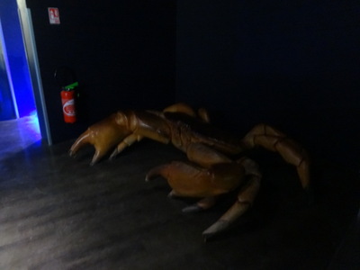 crab