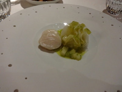 scallop